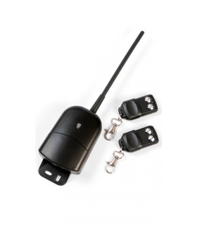 Receptor + 2 Mandos, Compatible con la Frecuencia 862MHz, 12-24V, Autoaprendizaje, Canal Monoestable o Biestable