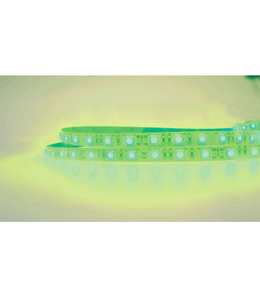 Tira de Led Monocromática SMD 5060, 24V, 60W, 60 led/m, IP20 o IP54 en Color Ámbar Azul Rojo o Verde, Adhesivo 300LSE, Dimmable