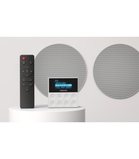 Kit de sonido con 2 altavoces 15+15W de techo, pantalla LCD de pared, Bluetooth 5.3, USB, FM, y Mando a Distancia
