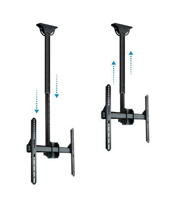 Soporte de Techo para Pantallas de 32" a 55", Extensible, Giratorio, Regulable, Inclinable, soporta hasta 50kg, VESA